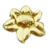 Gro�e Wachsblume
