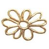 Goldene Wachsblume (Kontur)
