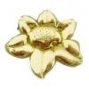 Gro�e Wachsblume